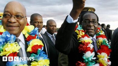 98868967 2zuma.jpg