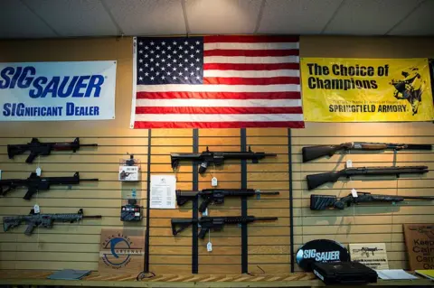 Anadolu AR-15 style rifles and shotguns for sale in Chantilly, Virginia
