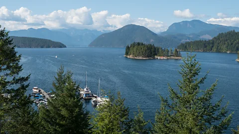 Diane Selkirk Chinook Wawa was a pidgin language once spoken by more than 100,000 people along the western coasts of Canada and the US (Credit: Diane Selkirk)