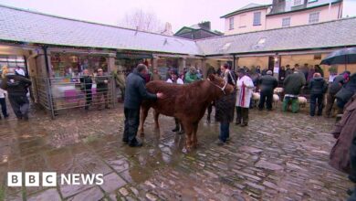 110079032 fatstock10.jpg