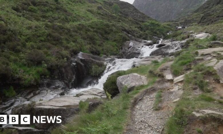 48de93e0 4c26 11f0 86d5 3b52b53af158.jpg