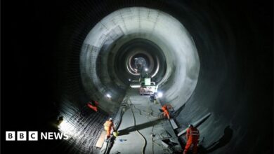 79852197 460184104.jpg