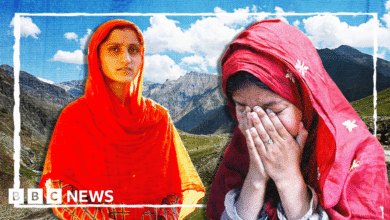 9cd1ec80 326e 11f0 8519 3b5a01ebe413.png