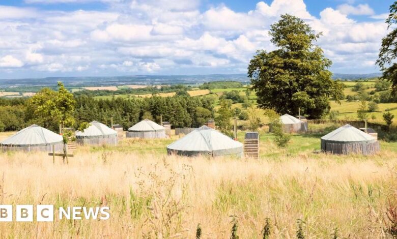 e0ee78d0 72b4 11f0 afda bb39e9f348ef.jpg