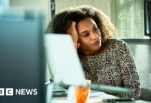 06541b30 ab3f 11f0 86b3 2dd47a6542fa.jpg